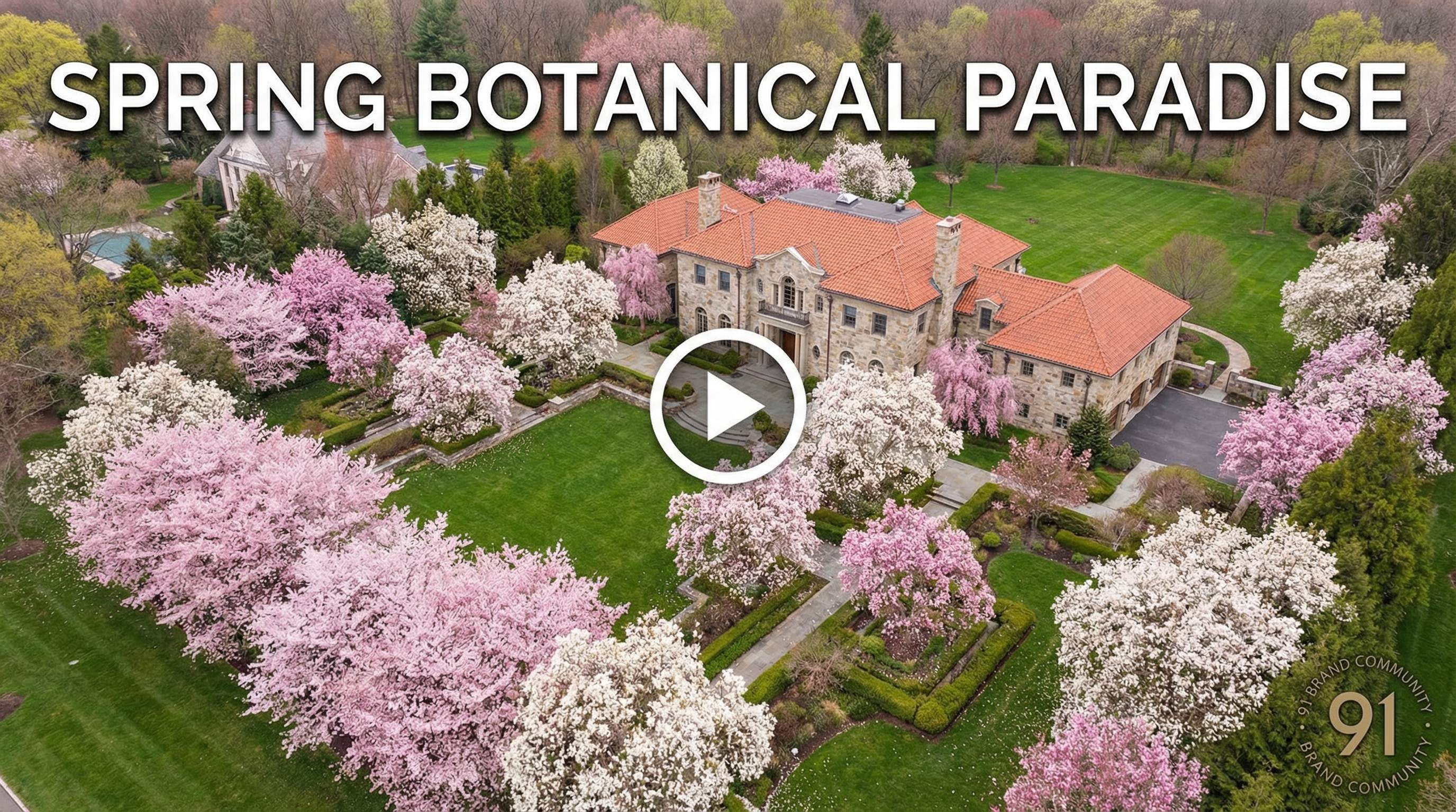 黄色仓库植物视频